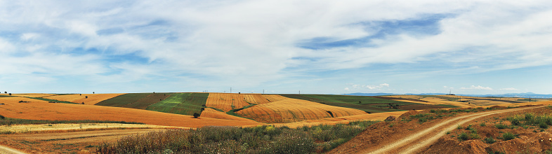 agricultural background