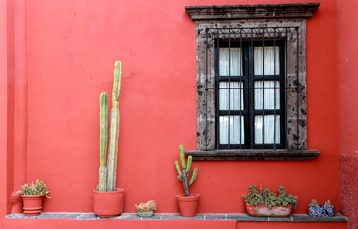 the view of house with decoration architecture and traditional Mexican vegetation
