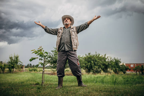 istock Senior man farmer standing in the field and praying that it will rain 1251596352