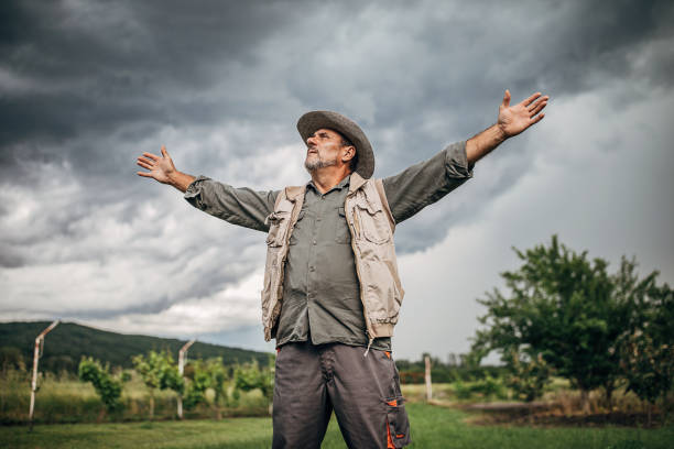 istock Senior man farmer standing in the field and praying that it will rain 1251596390