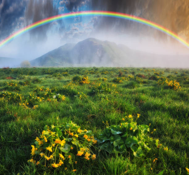 istock Rainbow over the meadow. picturesque spring morning 1251598508