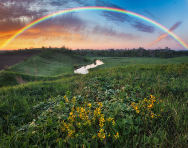 Rainbow over the meadow. picturesque spring morning