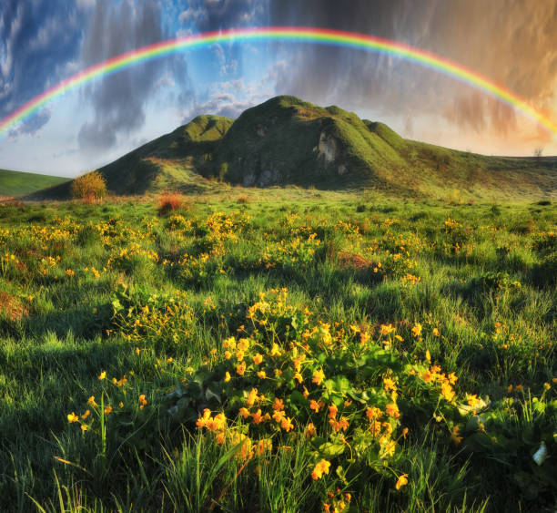 istock Rainbow over the meadow. picturesque spring morning 1251598529