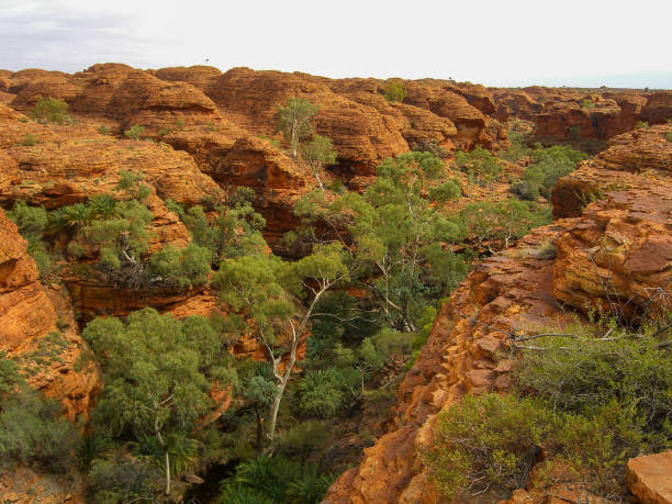 istock Kings Canyon - Australia 1251599257