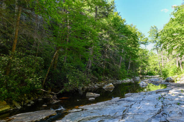 istock Minnewaska State Park Reserve - New York 1251599382