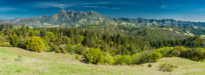 Mount Saint Helena from Pepperwood Preserve in Sonoma County, California