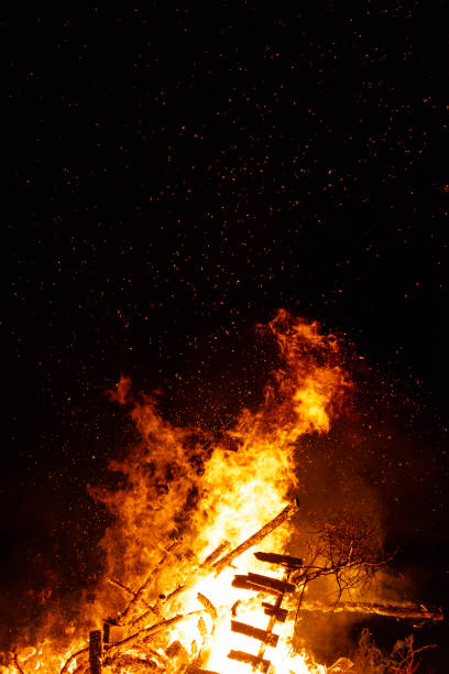 istock Burning woods with fire sparks, flame and smoke at night fireplace. 1251607312