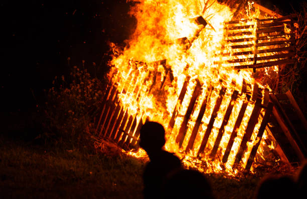 istock Burning woods with fire sparks, flame and smoke at night fireplace. 1251607399