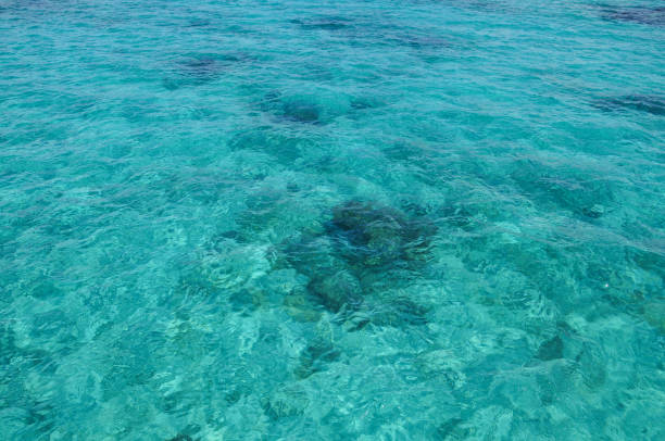 istock Beautiful blue sea in summer 1251609707