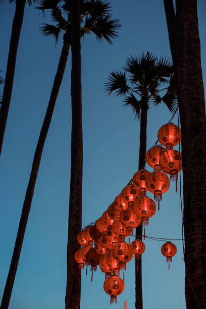 Bright Chinese lanterns on palm trees against the evening sky.