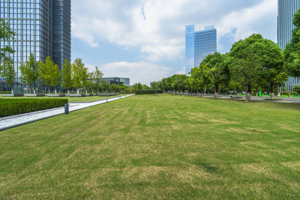 istock Business district and green 1251616354
