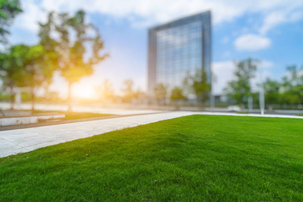 istock Business district and green 1251616368