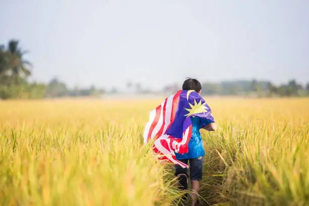 Photo of Asian Chinese teenager holding Malaysia National flag proudly and running at Sekinchan  paddy field.