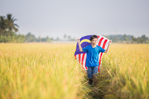 Asian Chinese teenager holding Malaysia National flag proudly and running at Sekinchan  paddy field.