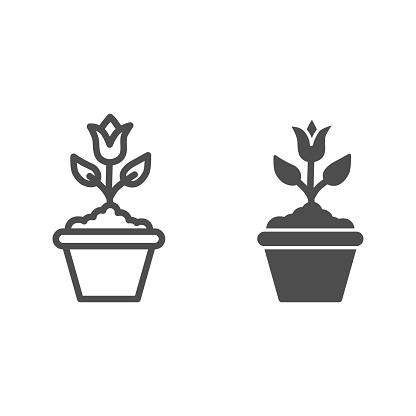 Flower in flowerpot line and solid icon, floral concept, plant in flowerpot sign on white background, Potted tulip flower icon in outline style for mobile concept and web design. Vector graphics