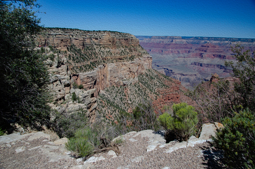 Grand Canyon National Park colors at noon