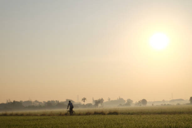 istock morning bike ride 1251623965
