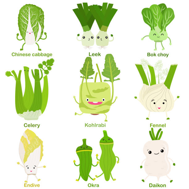 ilustrações, clipart, desenhos animados e ícones de vetor bonito de fruta sorridente em forma quadrada, vegetal com rosto feliz na cor verde - fennel vegetable food white background