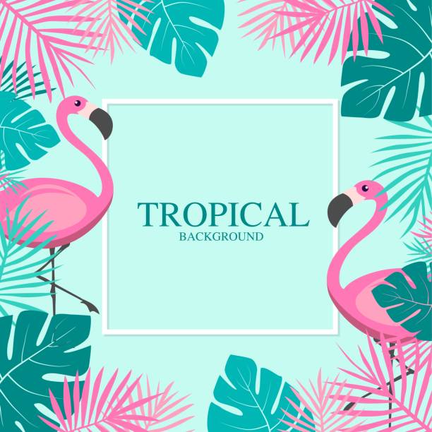 ilustrações de stock, clip art, desenhos animados e ícones de tropical summer with pink flamingos and palm leaves banner.vector illustration - thailand heaven tropical rainforest forest