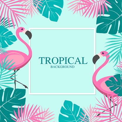 Tropical Summer with pink flamingos and Palm Leaves Banner.vector illustration