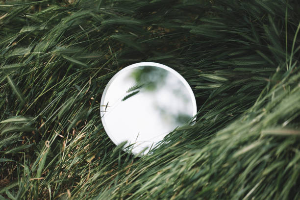 istock Round beautiful glass in the grass 1251635728