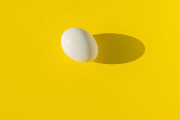 istock White boiled egg photographed with a hard shadow on a yellow background. 1251636391