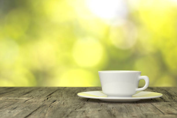 white and golden tea cup on a plate with cones, acorns,  mountain ash in Gryfino, West Pomeranian Voivodeship, Poland