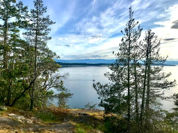 Beautiful oceans, lakes and mountains on the sunshine coast, Powell River,British Columbia. Beautiful oceans, lakes and mountains on the sunshine coast, Powell River, British Columbia. shadow british columbia landscape cloudscape stock pictures, royalty-free photos & images