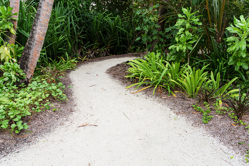 Tropical garden footpath