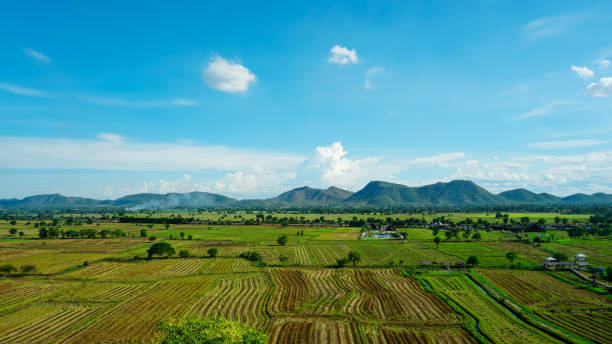istock Agricultural field under blue sky and mountain. 1251648693