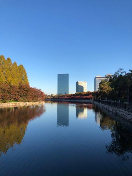 istock Parks in Osaka with autumn foliage 1251652546