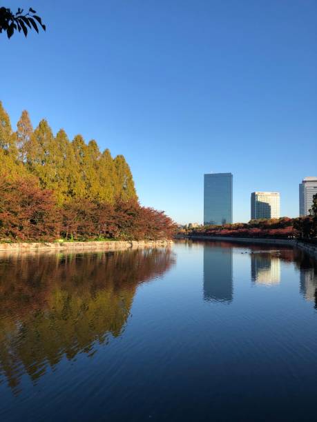istock Parks in Osaka with autumn foliage 1251652563