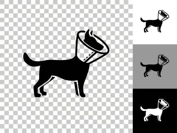 Vector illustration of Dog and Neck Cone Icon on Checkerboard Transparent Background