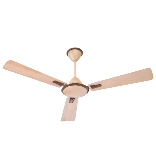 istock Ceiling fan in different color, size, shape and design in white background 1251653000
