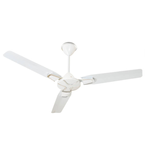 istock Ceiling fan in different color, size, shape and design in white background 1251653016