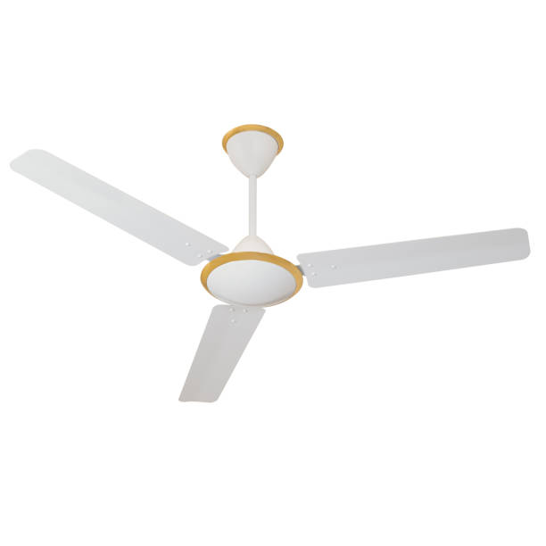 istock Ceiling fan in different color, size, shape and design in white background 1251653635