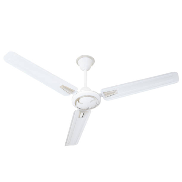 istock Ceiling fan in different color, size, shape and design in white background 1251653687