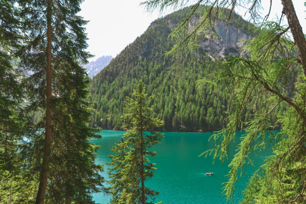 istock fir trees in front of lake in mountains 1251654049
