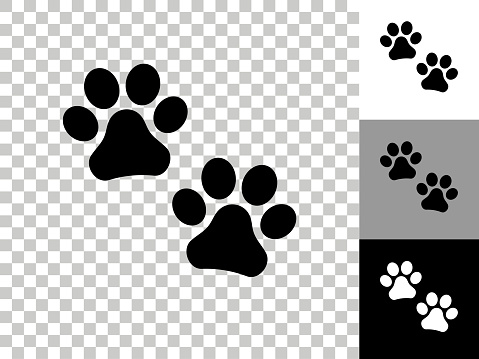 Paw Prints Icon on Checkerboard Transparent Background. This 100% royalty free vector illustration is featuring the icon on a checkerboard pattern transparent background. There are 3 additional color variations on the right..