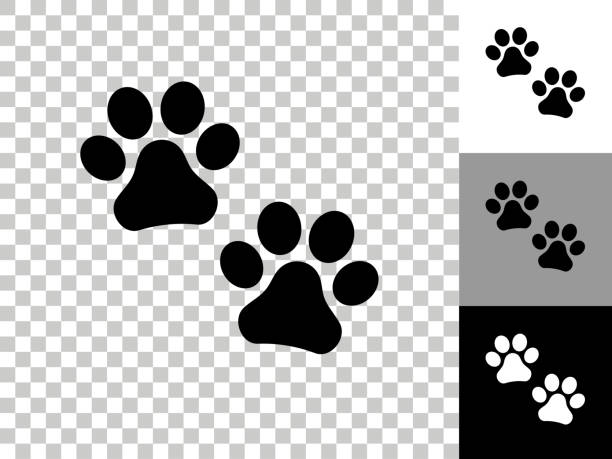 Paw Prints Icon on Checkerboard Transparent Background vector art illustration