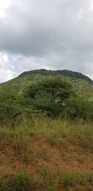 istock Upcountry Scenery of Uganda 1251654305