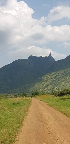 istock Upcountry Scenery of Uganda 1251654355