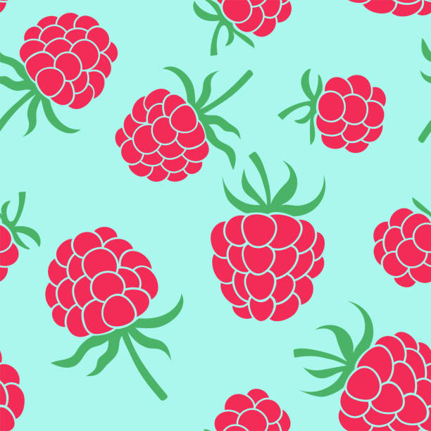 ilustrações de stock, clip art, desenhos animados e ícones de raspberry seamless pattern. hand drawn fresh fruit. vector sketch background. color doodle wallpaper. red berry print - framboesa