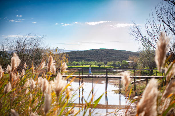 A young girl is walking confidently over a wooden walkway bridge boardwalk built high above a dam in the Klein Karoo, South Africa