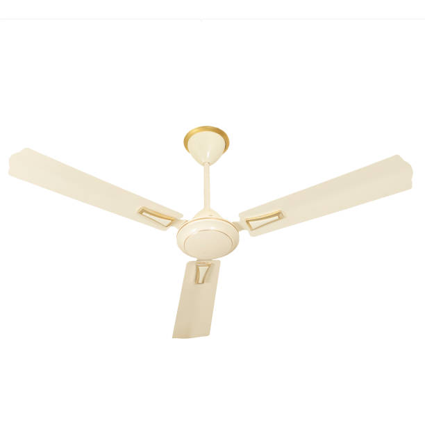 istock Ceiling fan in different color, size, shape and design in white background 1251656648