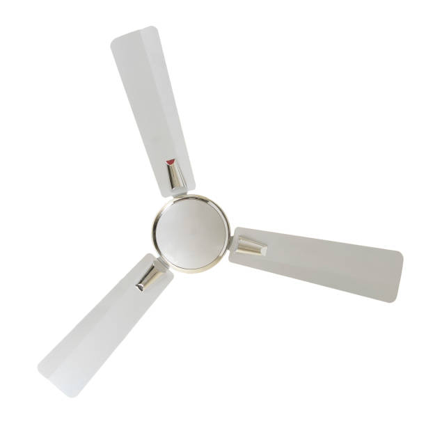 istock Ceiling fan in different color, size, shape and design in white background 1251656717
