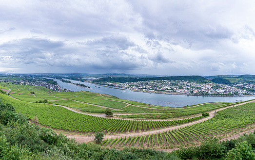 panoramic view to river Rhine and vineyards in Ruedesheim at river Rhine