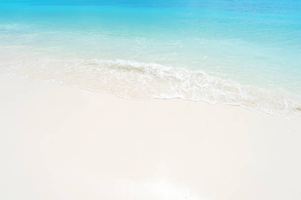 istock Perfect sand beach and turquoise sea wave copy space scene 1251656975