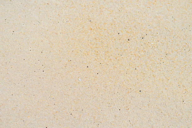 istock close up sand beach groud floor background for texture 1251657071