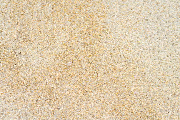istock close up sand beach groud floor background for texture 1251657675